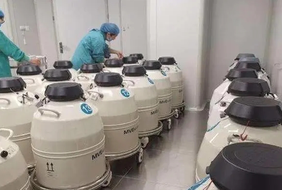 mve液氮罐 mve液氮罐
